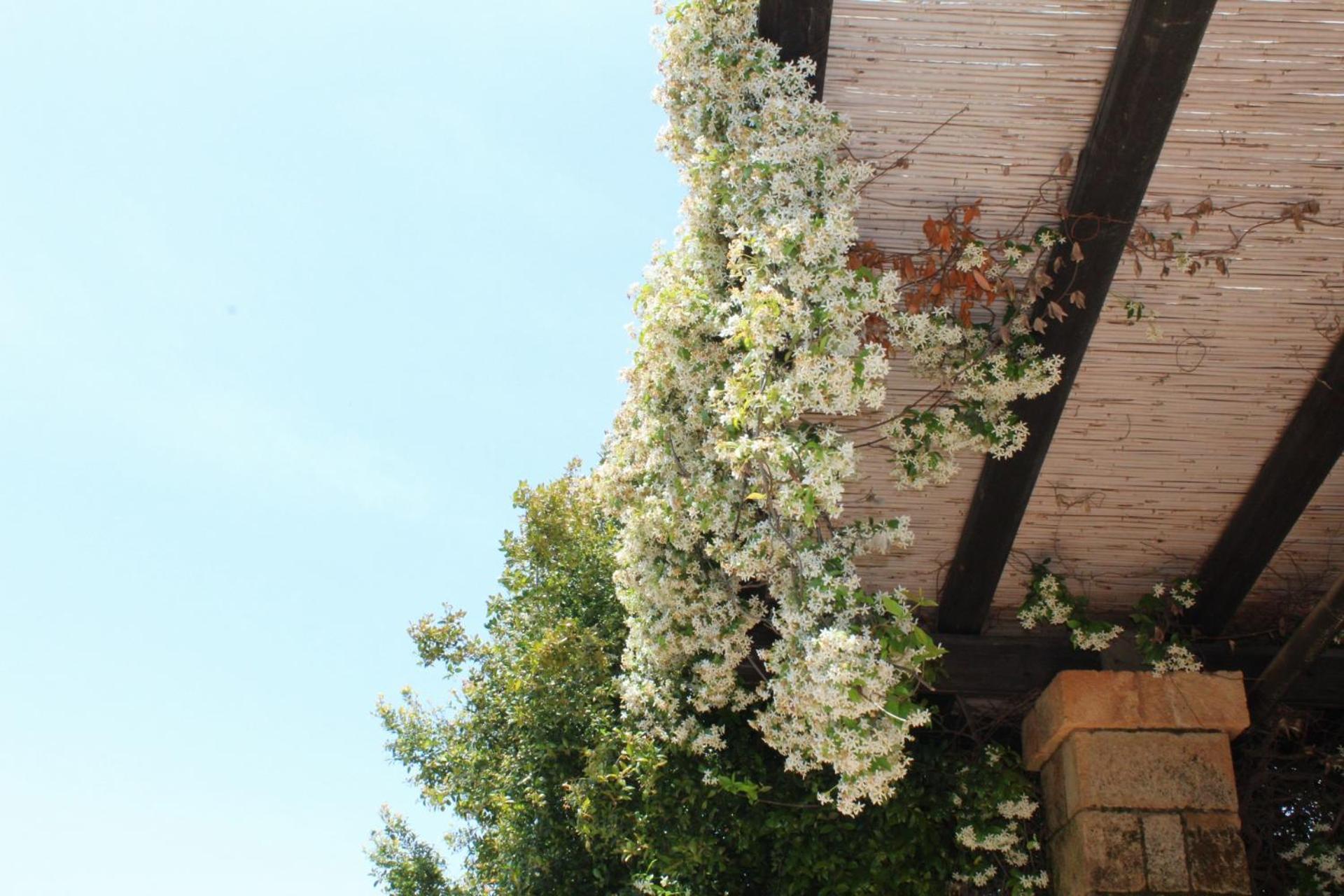 Tenuta Ferraro กัลลีโปลี ภายนอก รูปภาพ